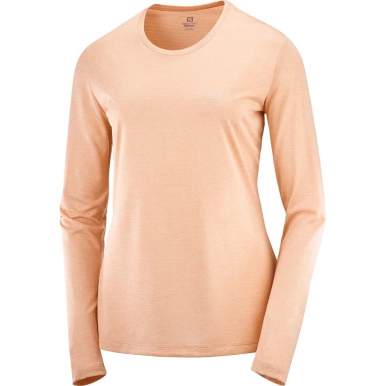 Apricot Salomon Agile Long Sleeve Women's T-Shirts | PH 95461O